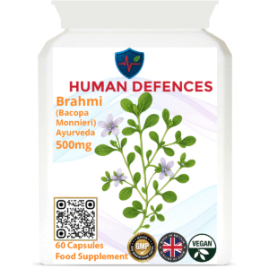 Bacopa (Brahmi) 500mg 60 Capsules