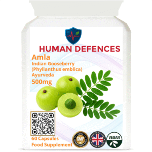 Indian Gooseberry (Amla) 500mg 60 Capsules