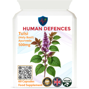 Holy Basil ( Tulsi ) 500mg 60 Capsules