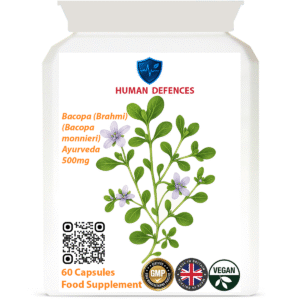 Bacopa (Brahmi) 60 Capsules 500MG