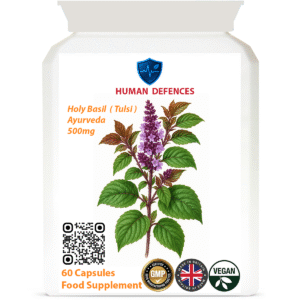 Holy Basil  ( Tulsi )  500mg