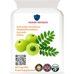Indian Gooseberry (Amla) 60 Capsules 500MG